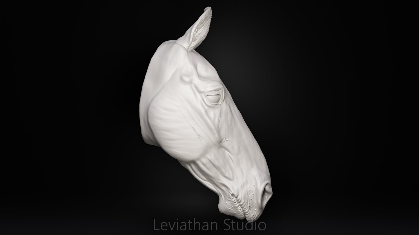 Replacement Head STLs