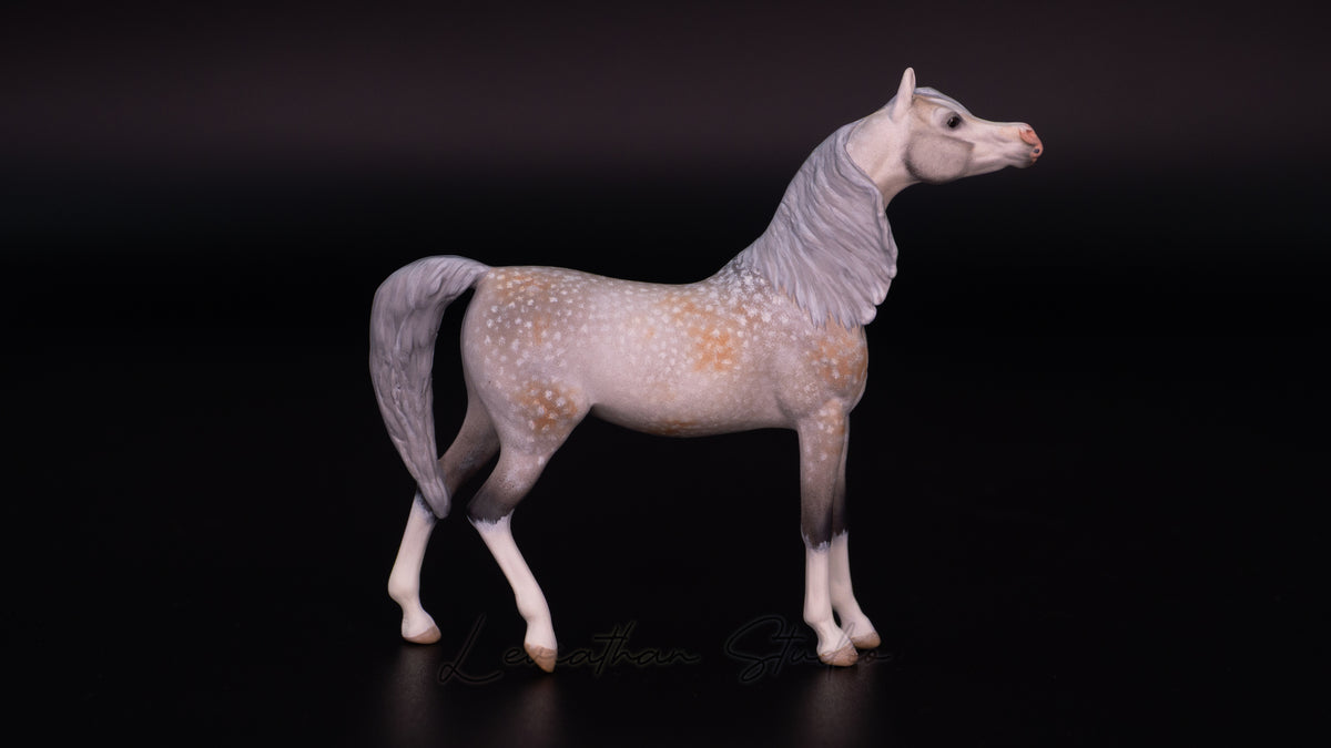 Breyer Akilah CM