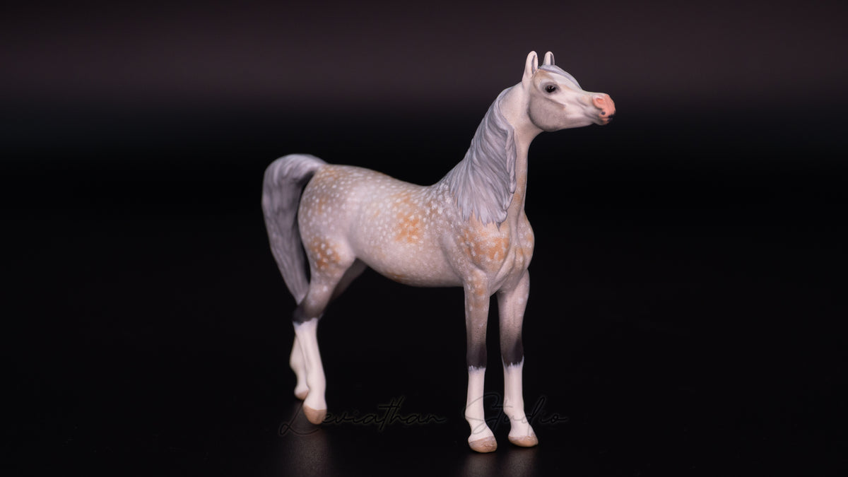 Breyer Akilah CM