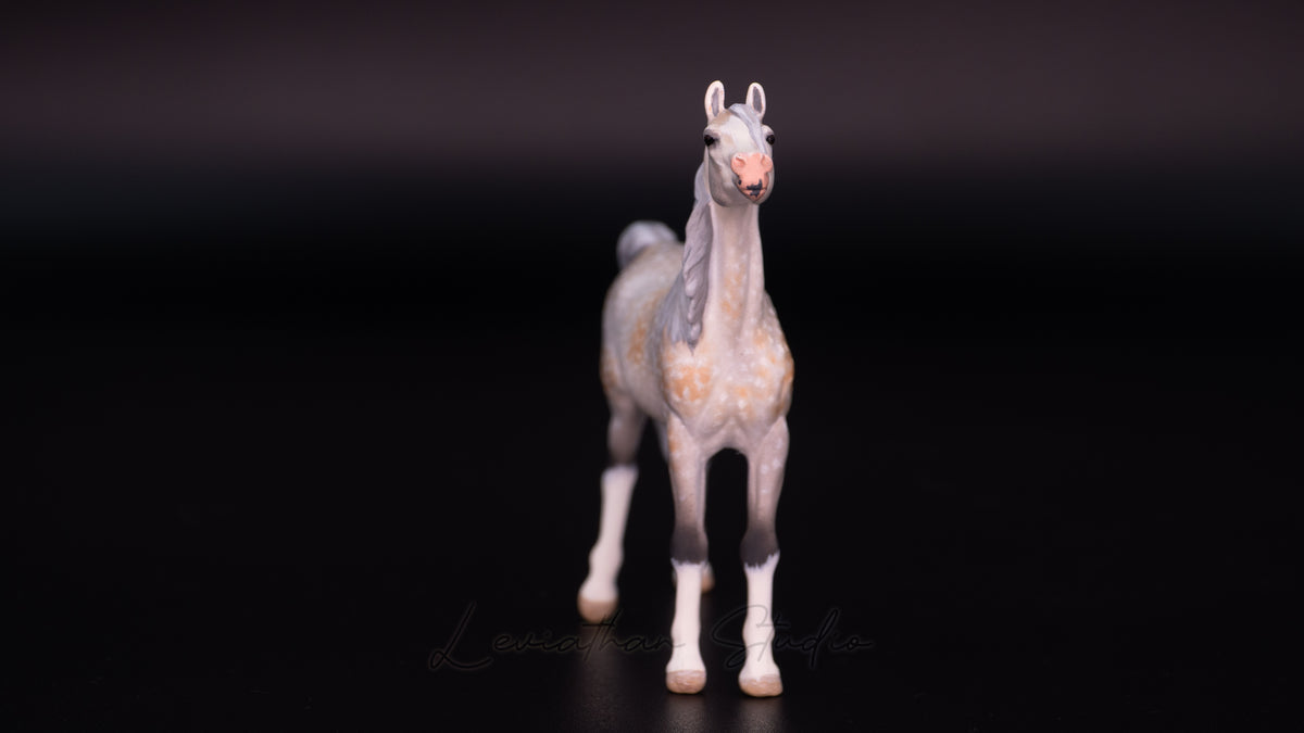 Breyer Akilah CM