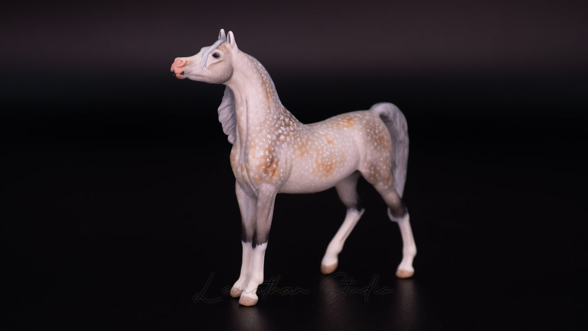 Breyer Akilah CM