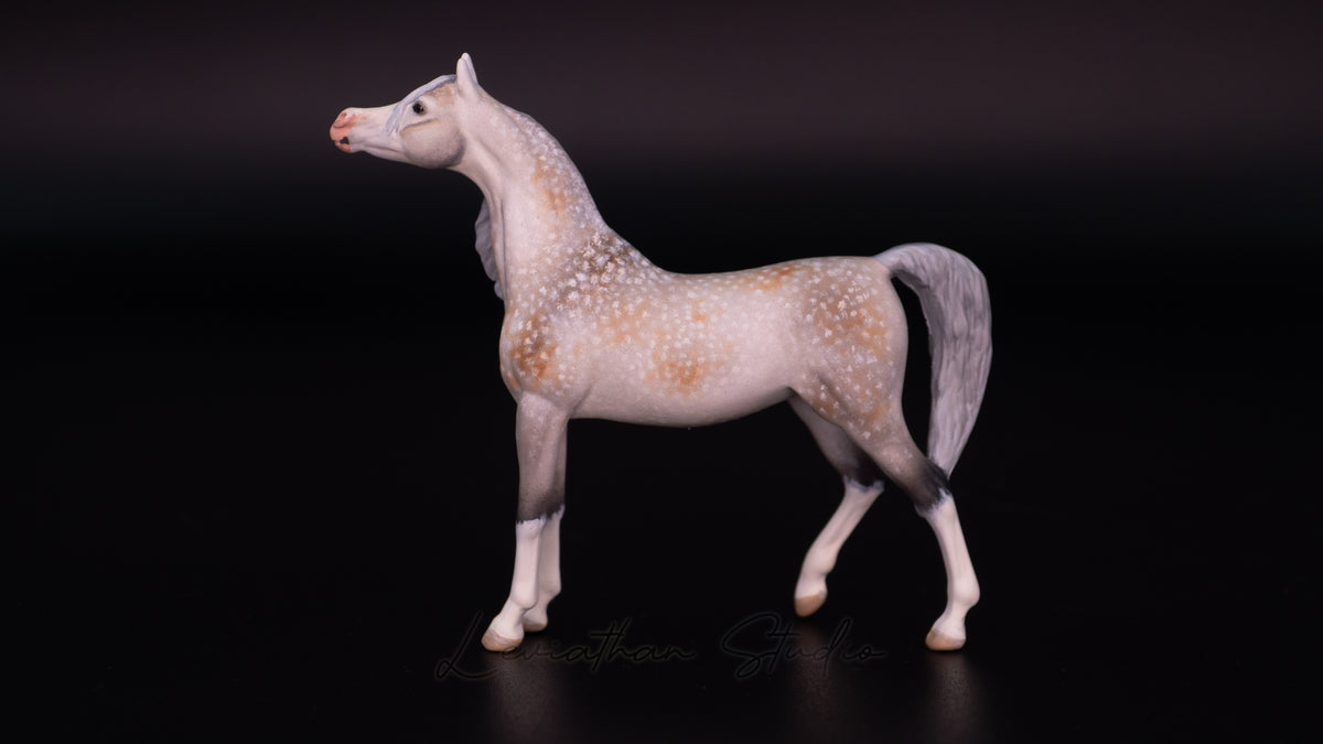 Breyer Akilah CM