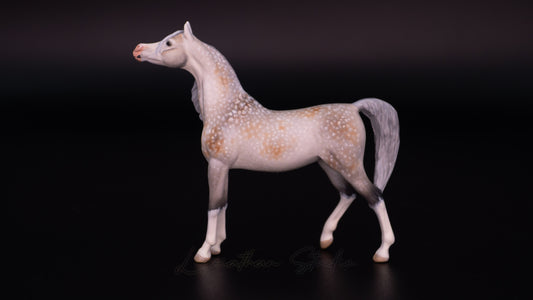 Breyer Akilah CM