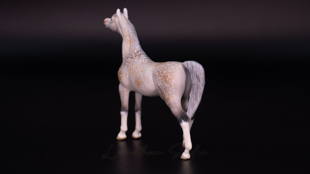 Breyer Akilah CM