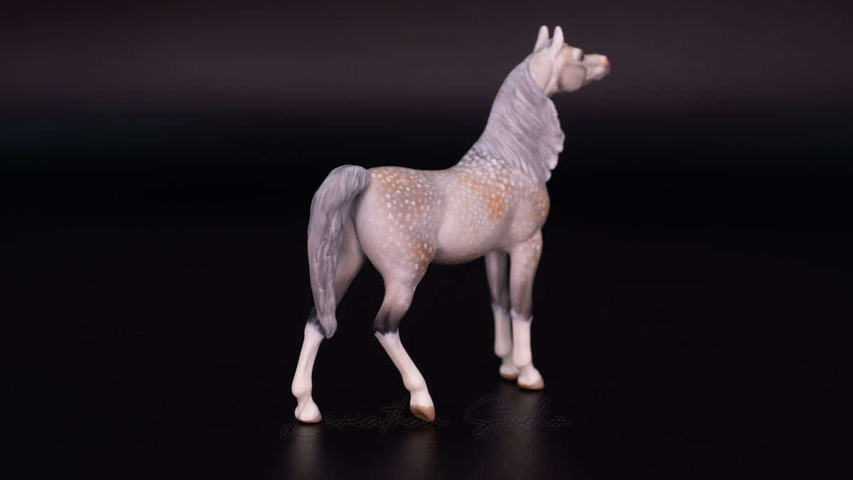 Breyer Akilah CM