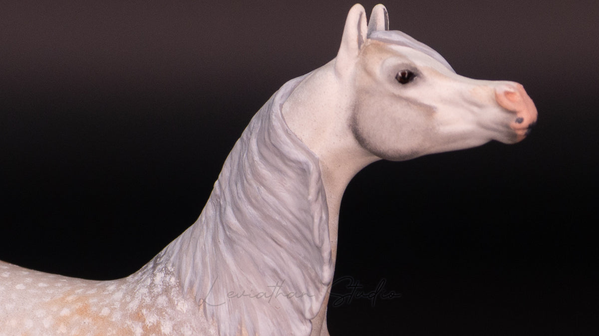 Breyer Akilah CM