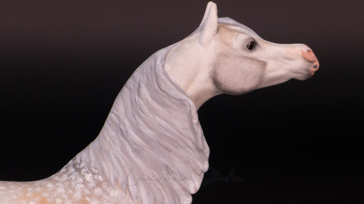 Breyer Akilah CM