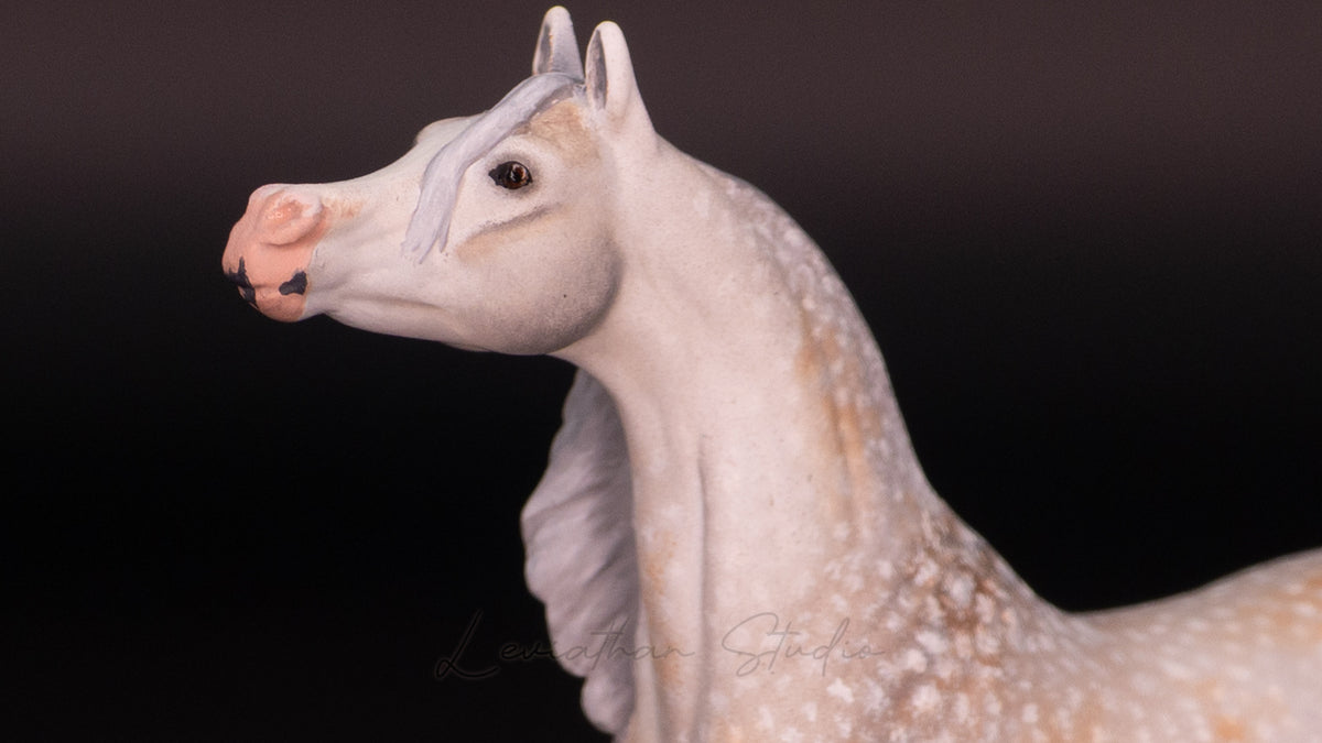 Breyer Akilah CM