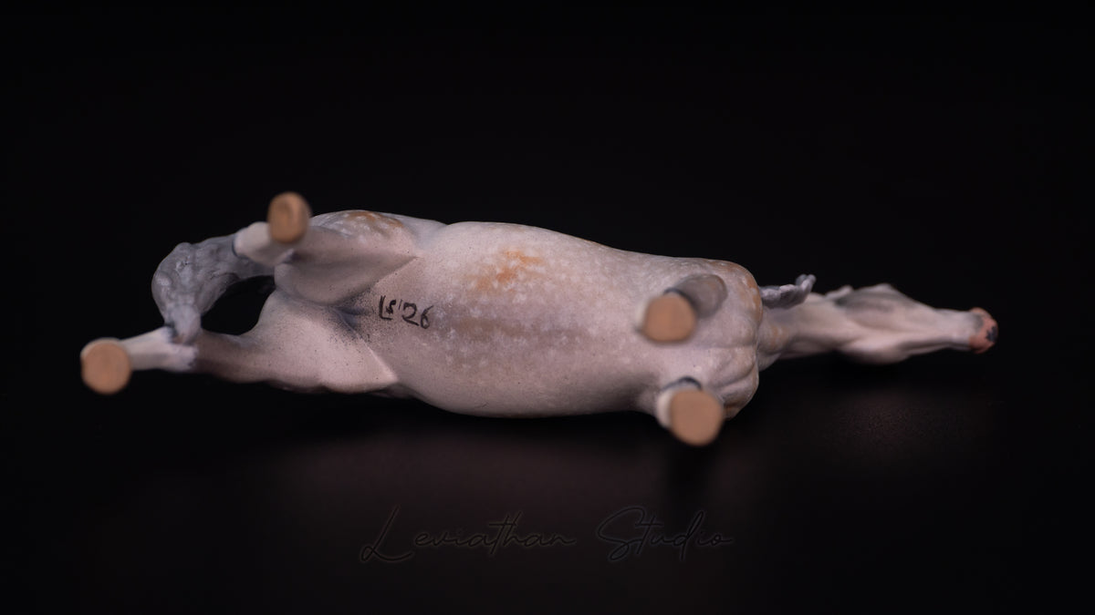 Breyer Akilah CM