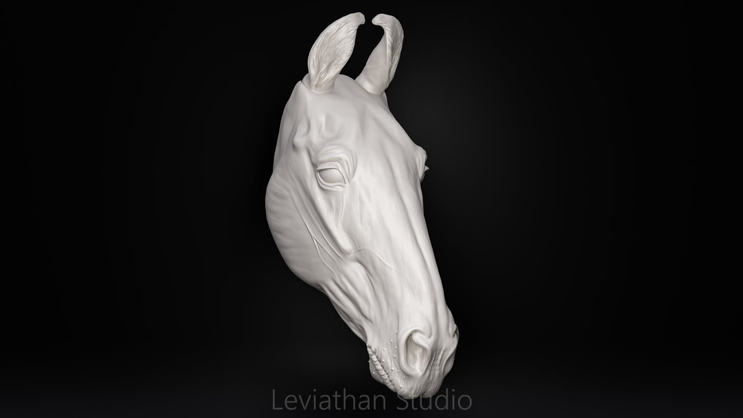 Replacement Head STLs