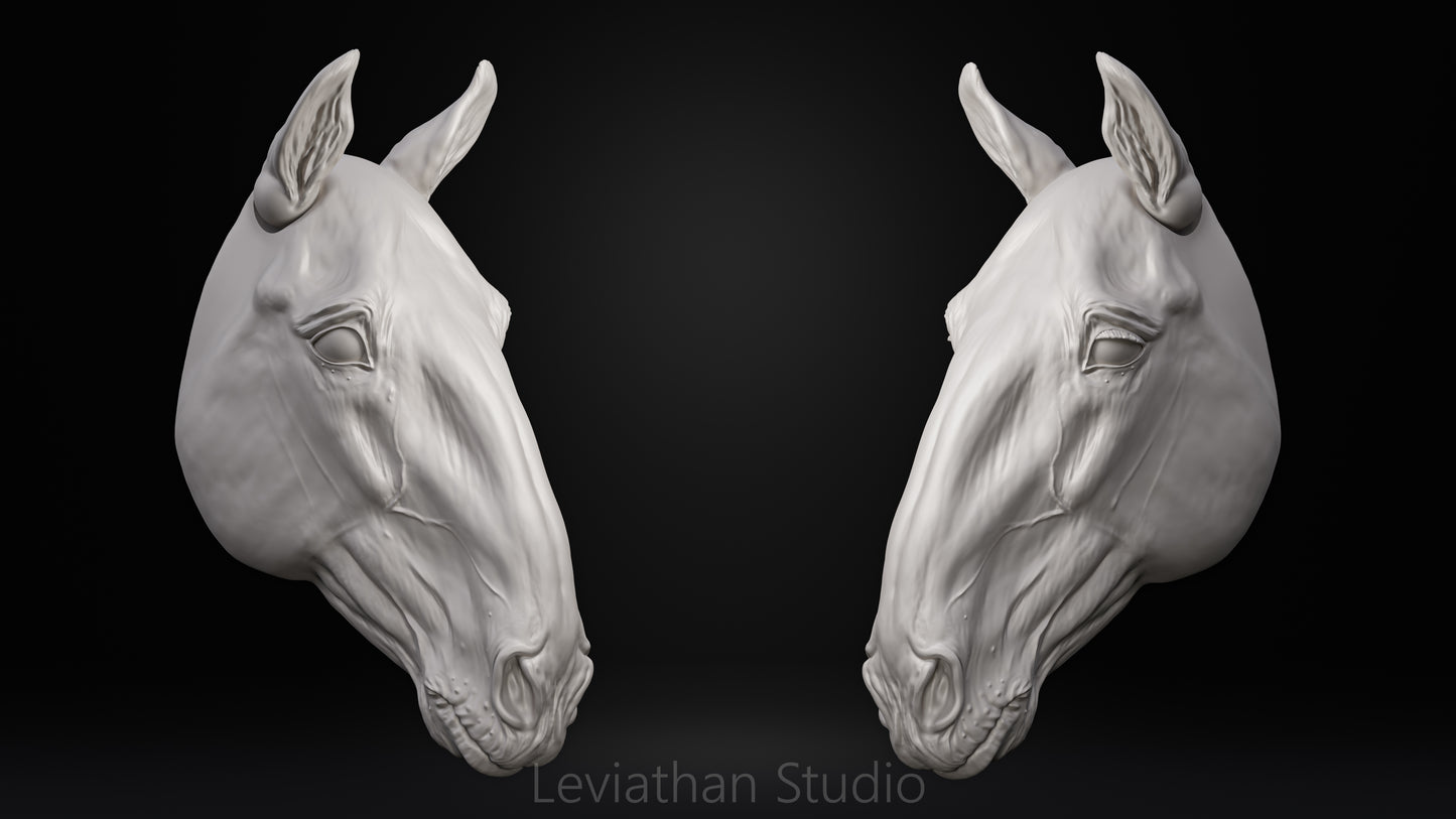 Replacement Head STLs