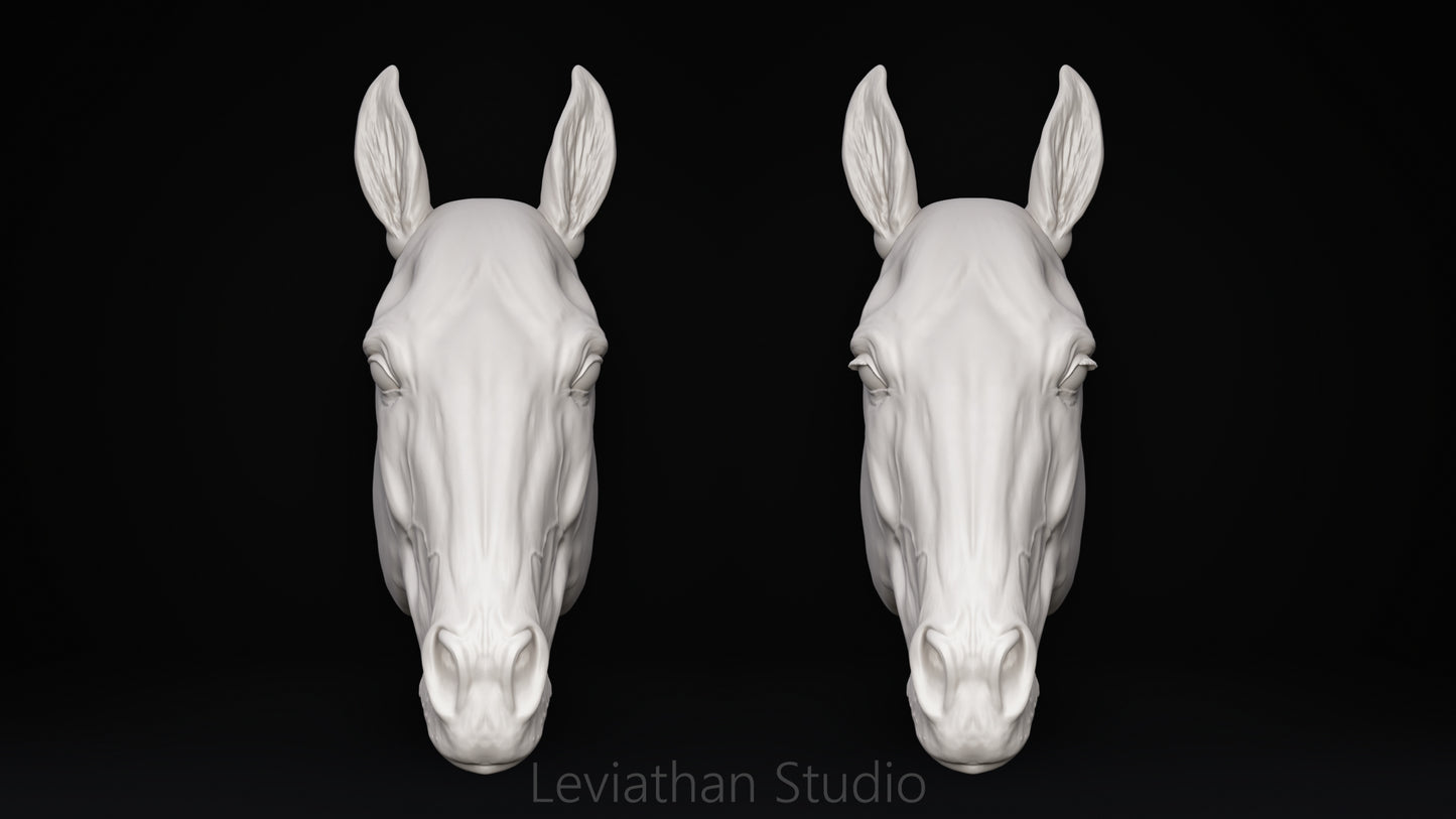 Replacement Head STLs