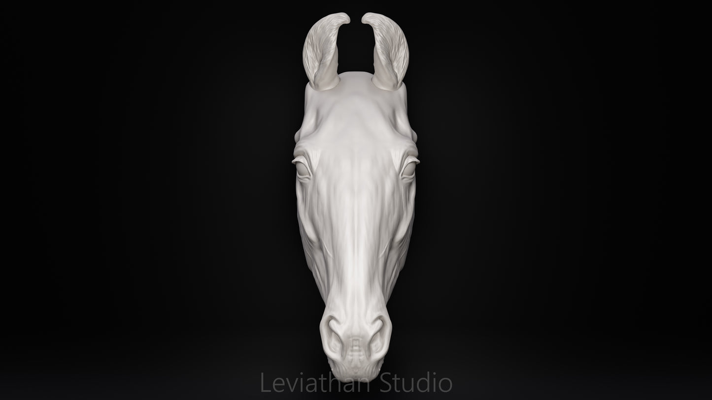 Replacement Head STLs