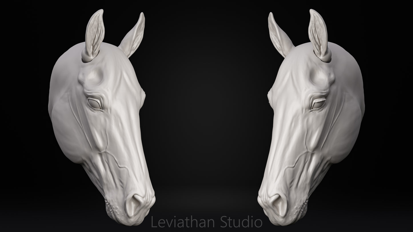 Replacement Head STLs