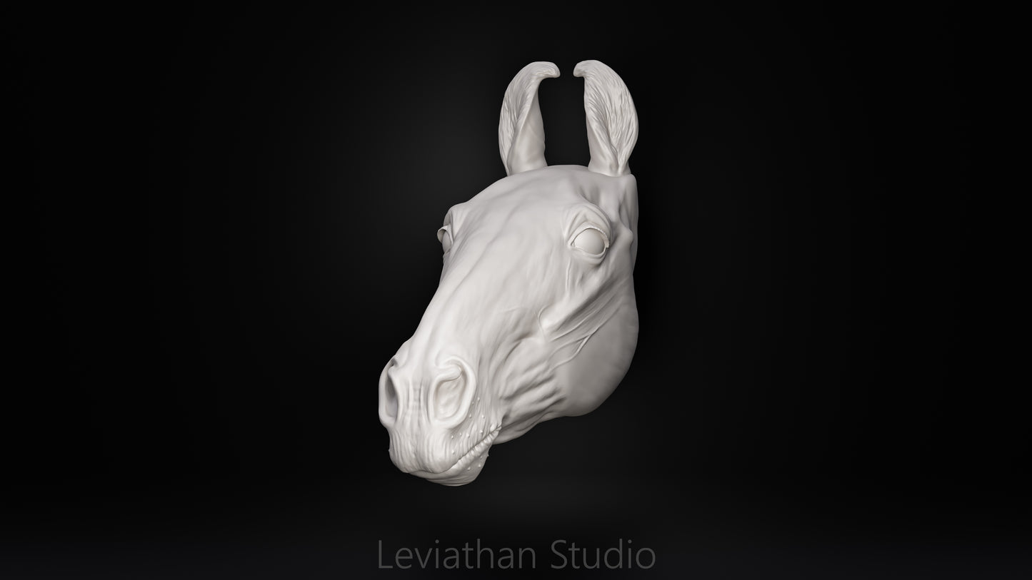 Replacement Head STLs