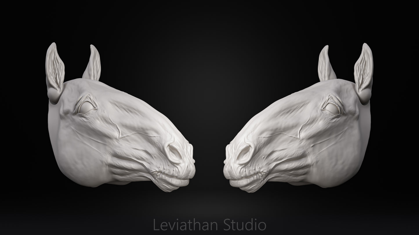 Replacement Head STLs