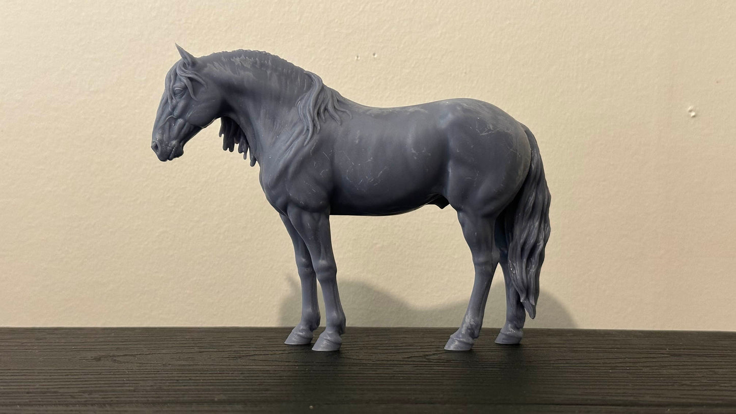 Seconds Quality + Extras