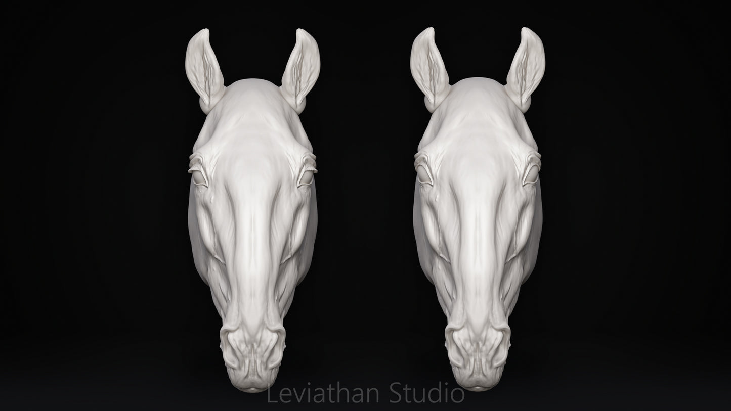 Replacement Head STLs